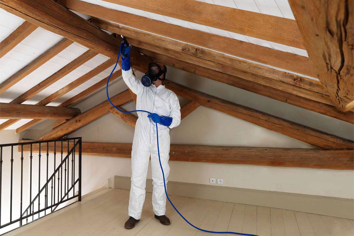 Traitement des charpentes en bois